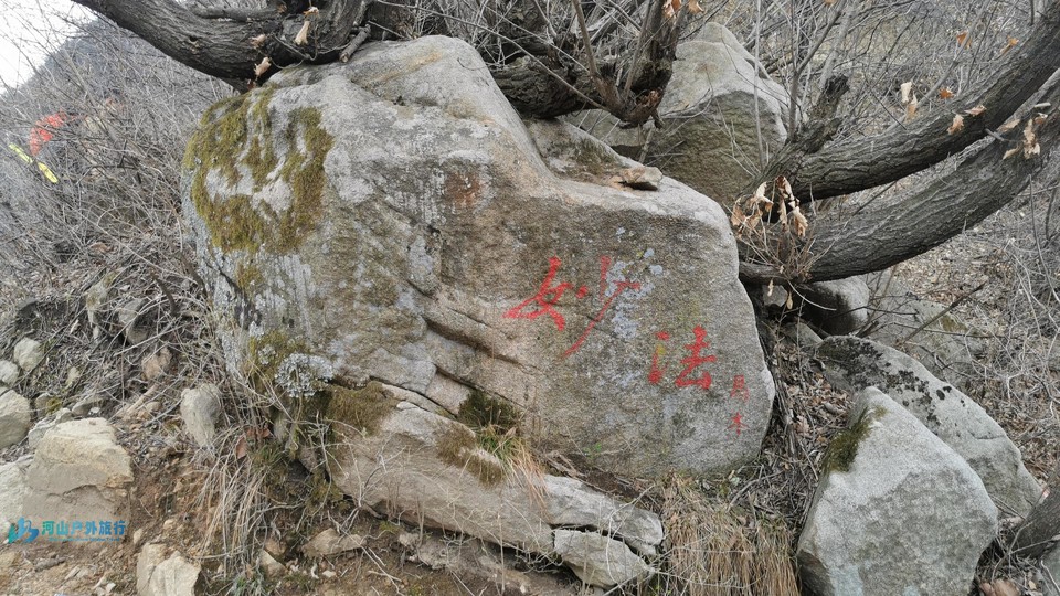 picture_2024_03_26_10_44_19_340