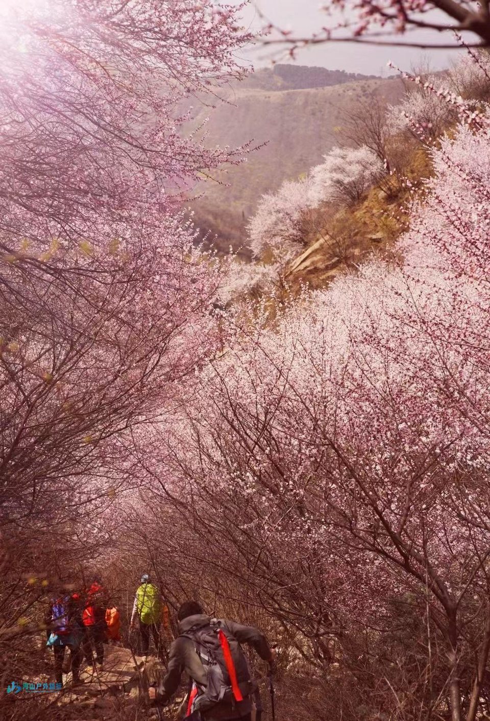 微信图片_20240313144427