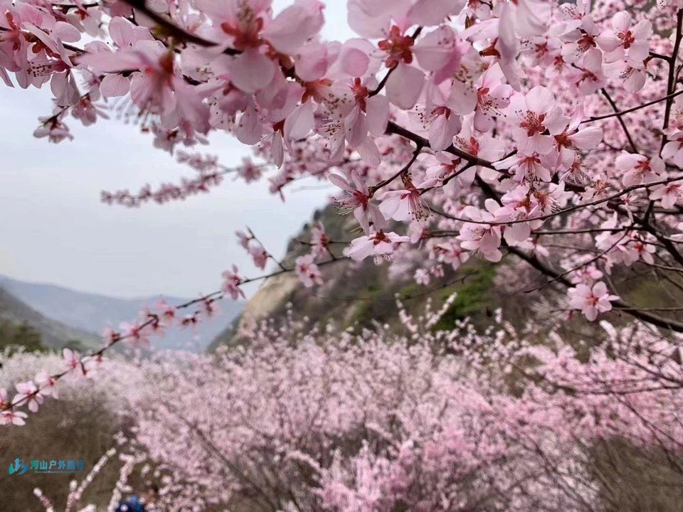 微信图片_20240313144520