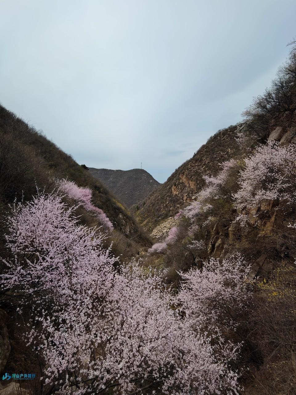 mmexport1711449714891