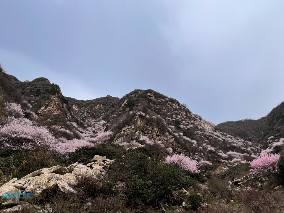 mmexport1711450088244