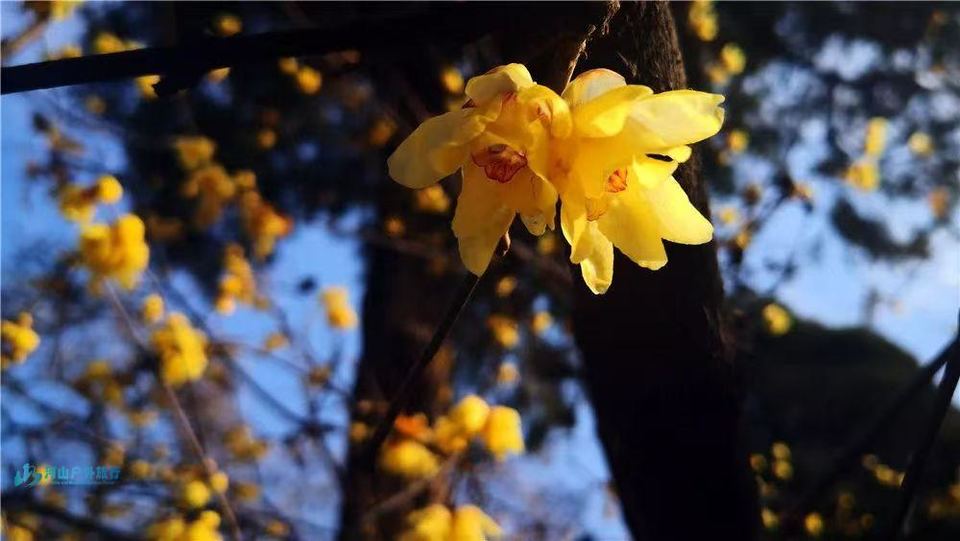 微信图片_20250118133741