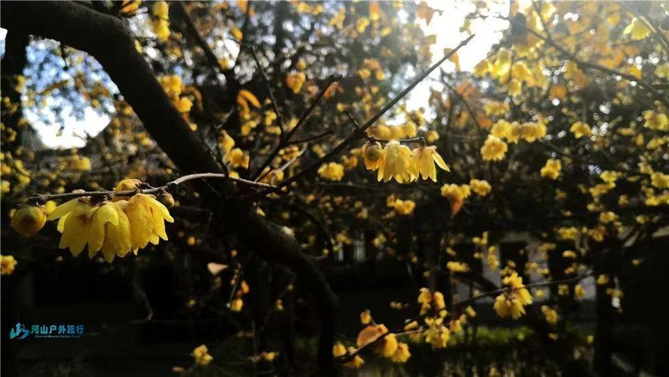 微信图片_20250118133759