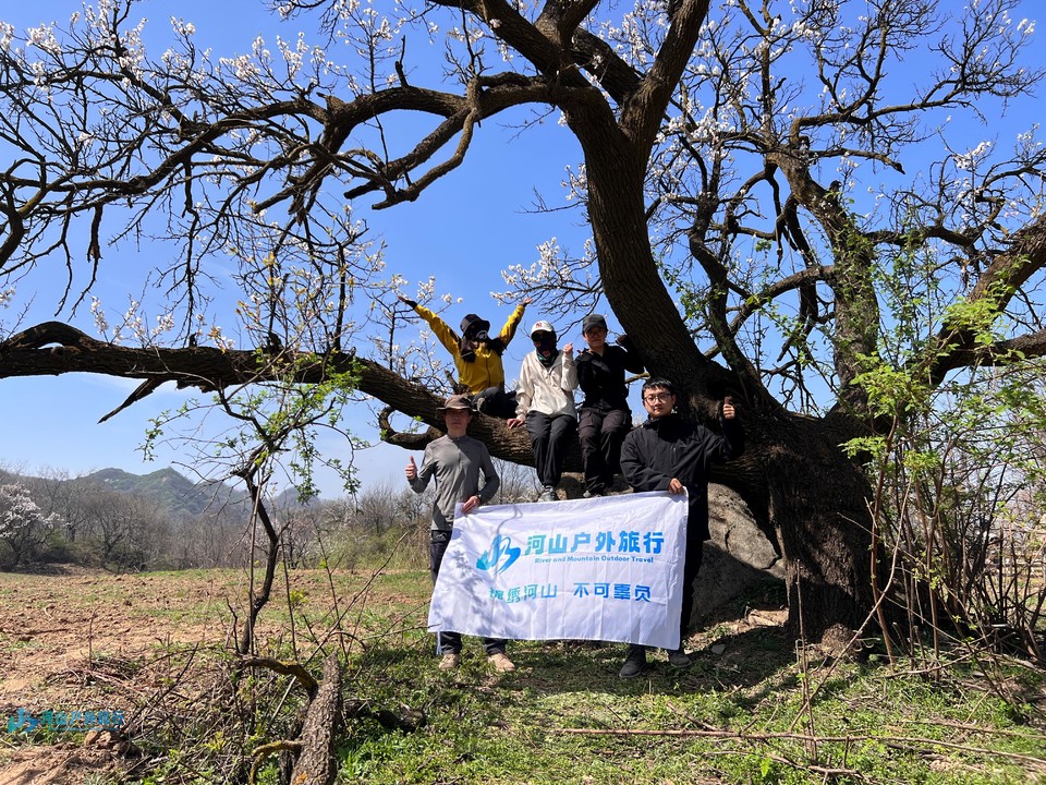 mmexport1711936450042