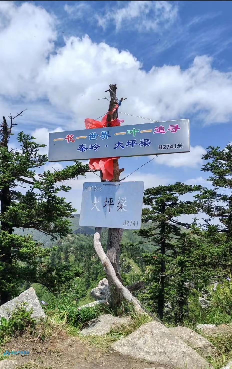 mmexport1719935021129