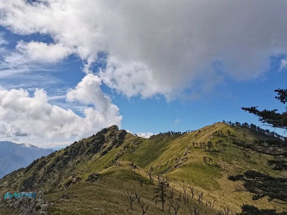 微信图片_20240314235113