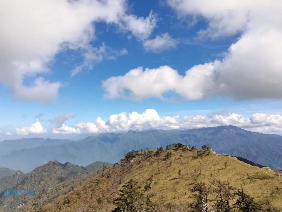 微信图片_20240314235130