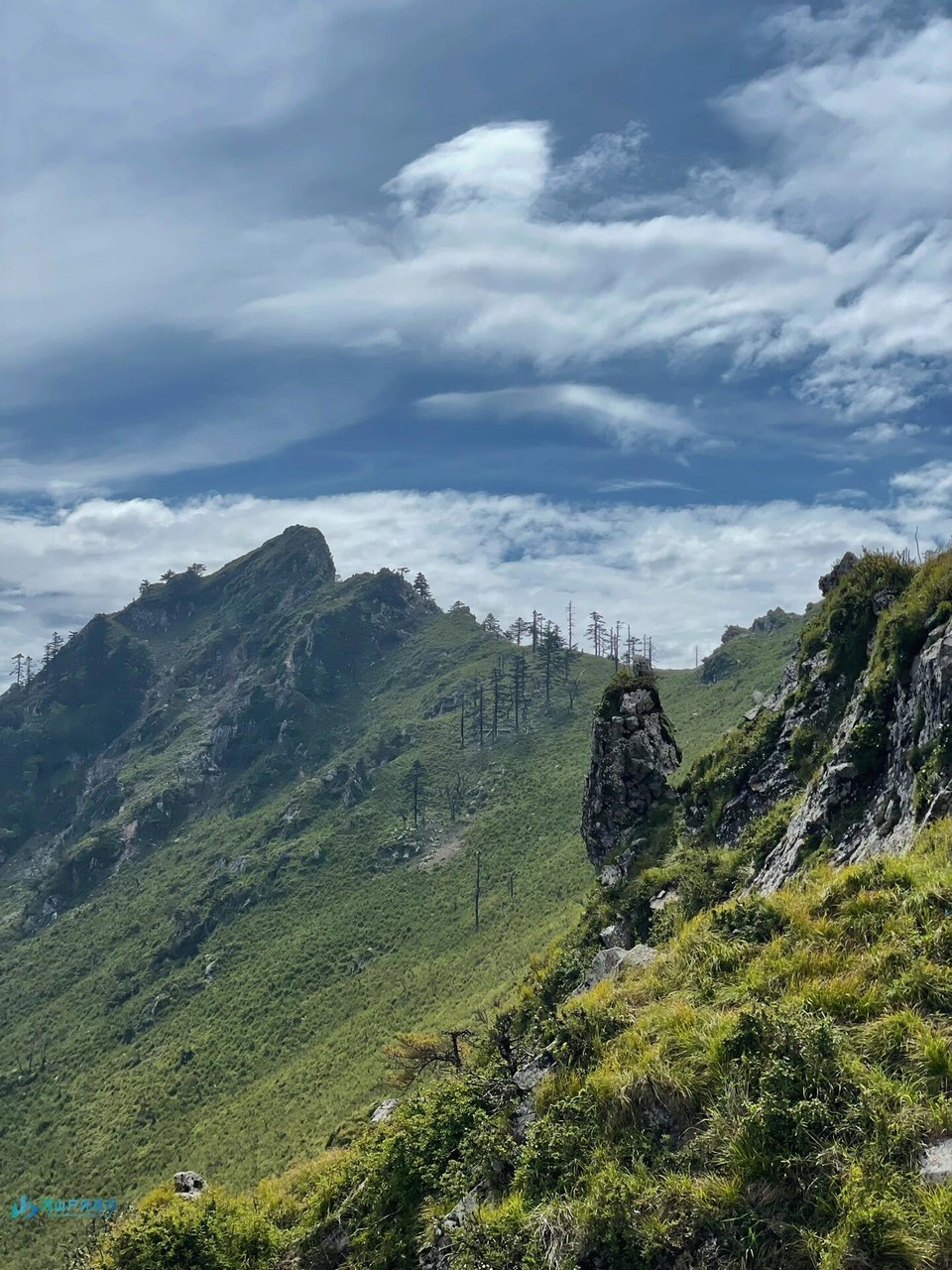 微信图片_20240325004551