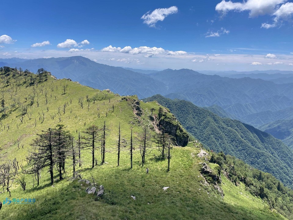 微信图片_20240325004559