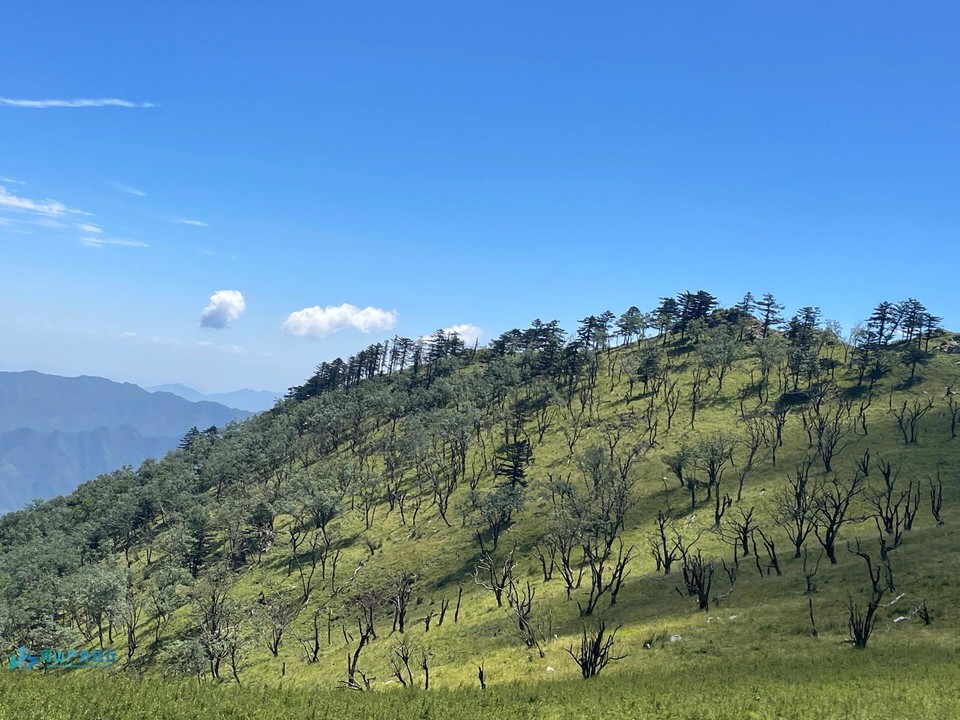 微信图片_20240325004617