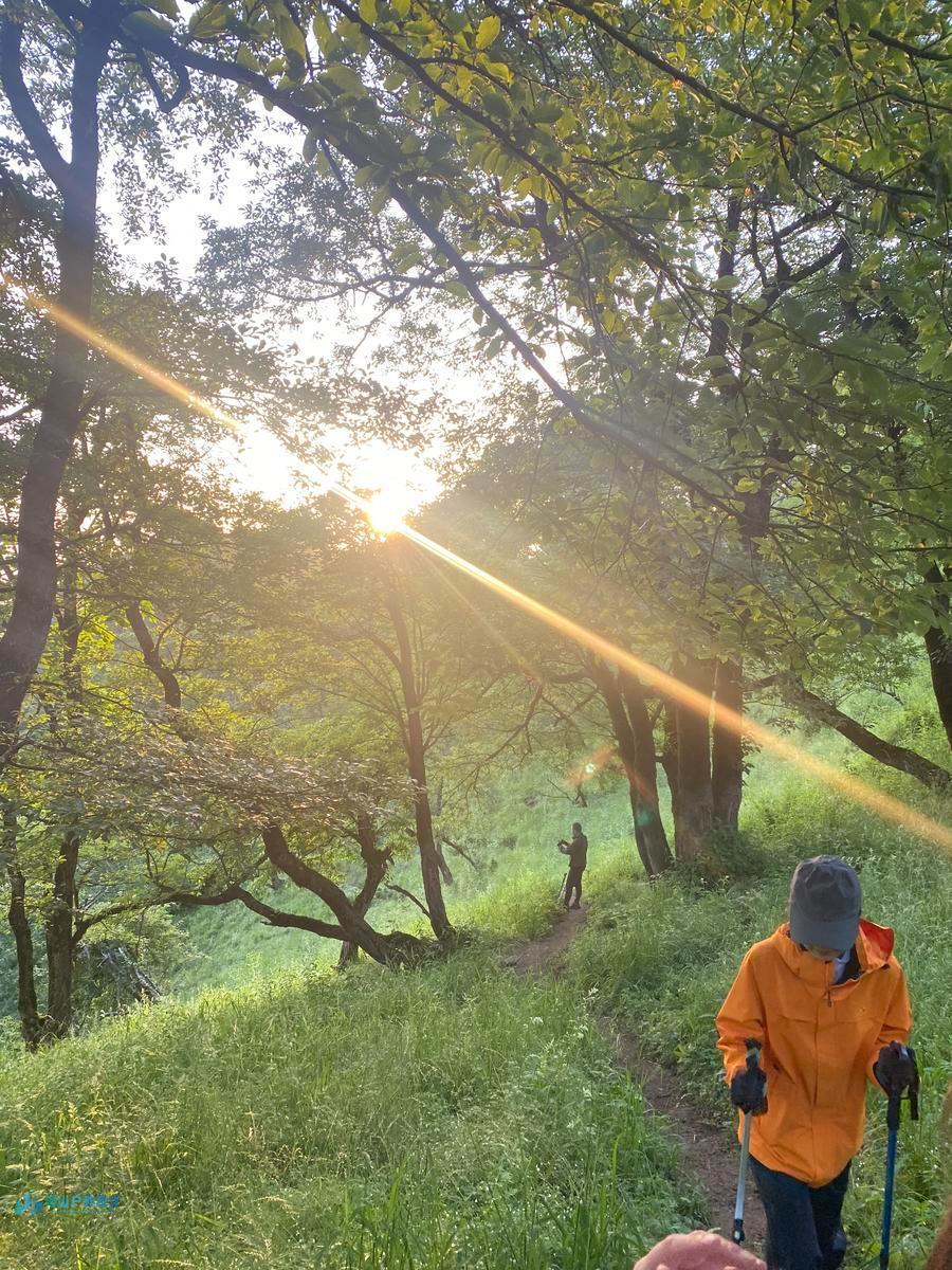 mmexport1719935169027