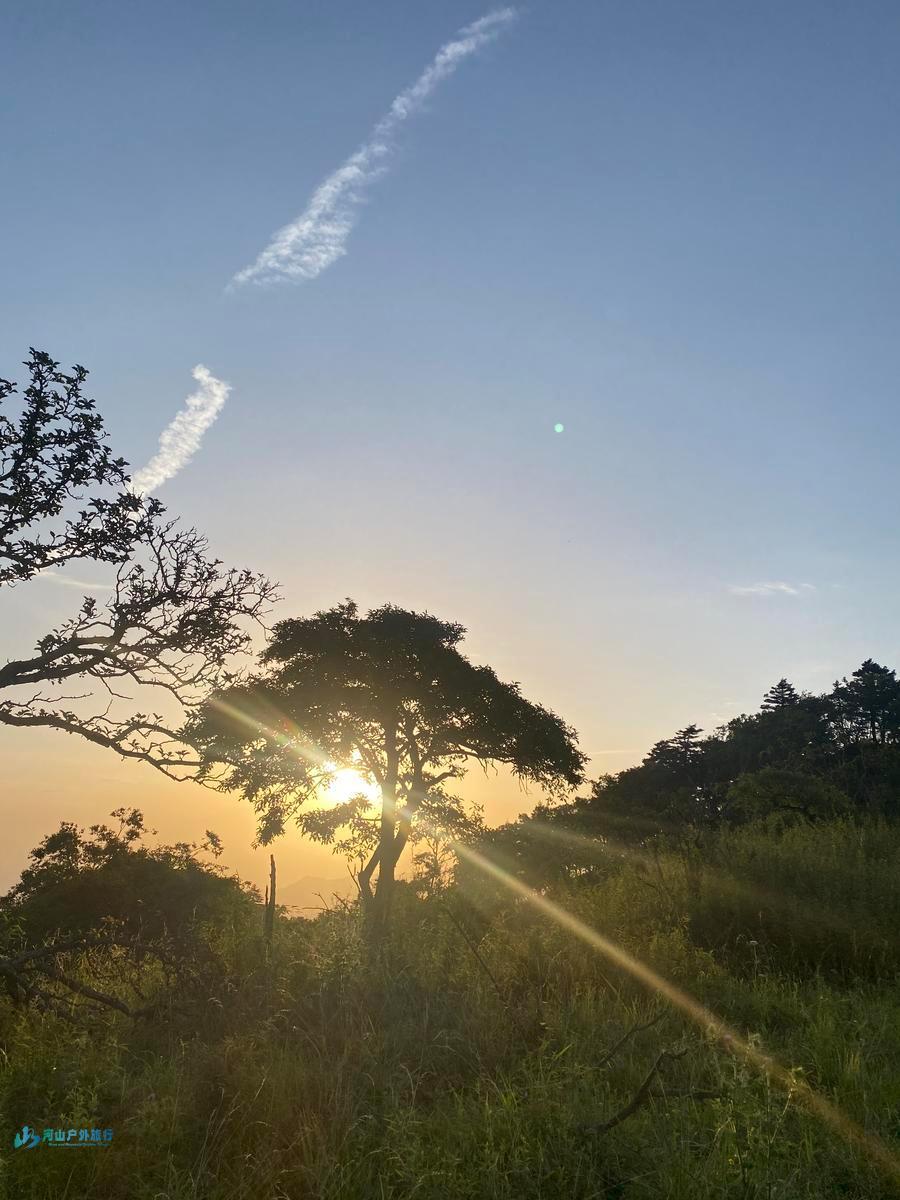 mmexport1719935205324