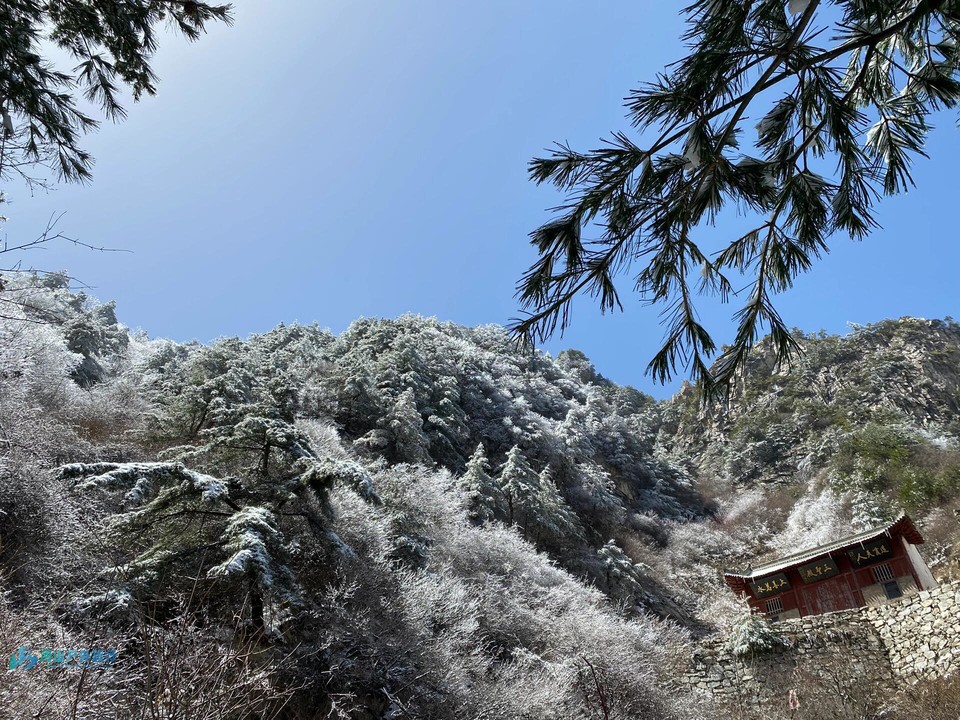 微信图片_20240325002248