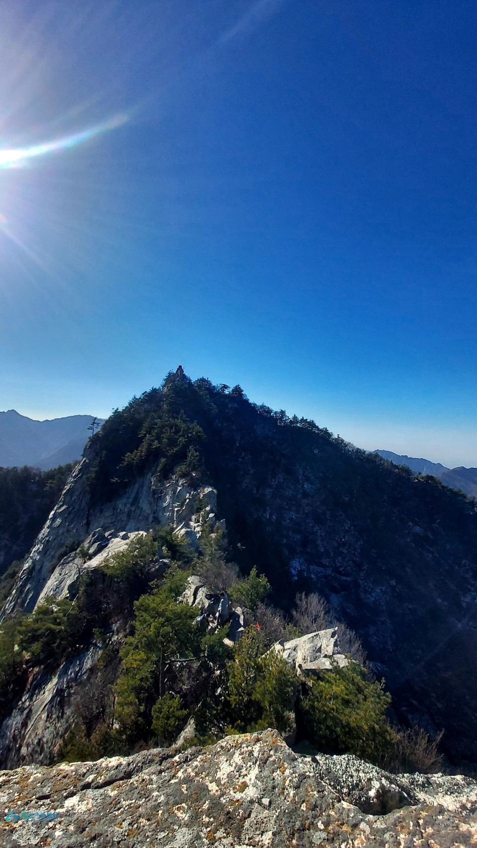 微信图片_20240325002353