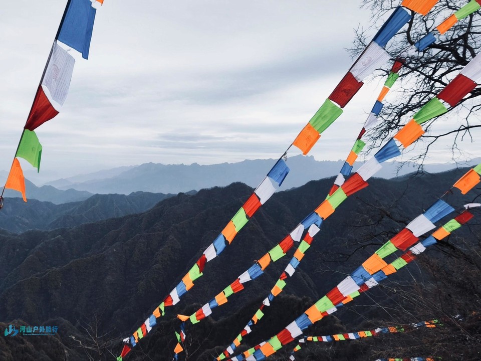 微信图片_20240329003956