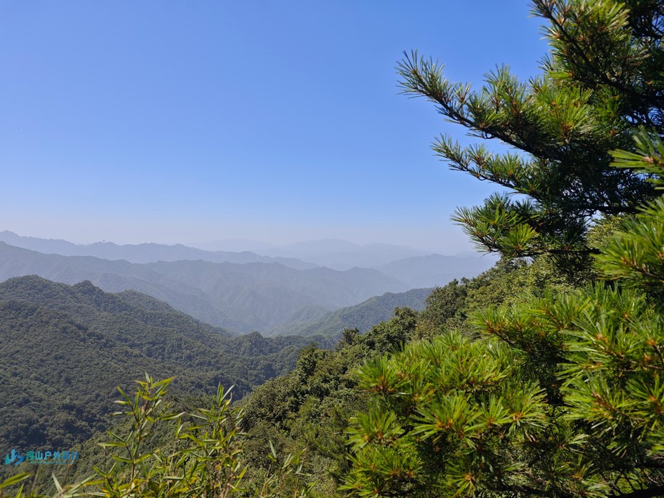 mmexport1723548978278