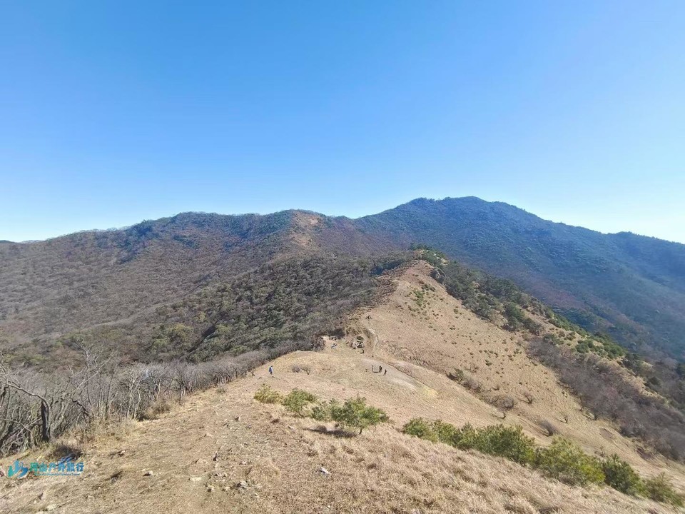 微信图片_20241201181243