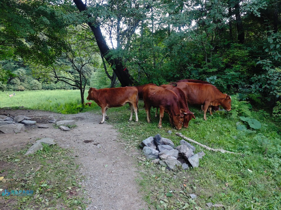 mmexport1723566762691