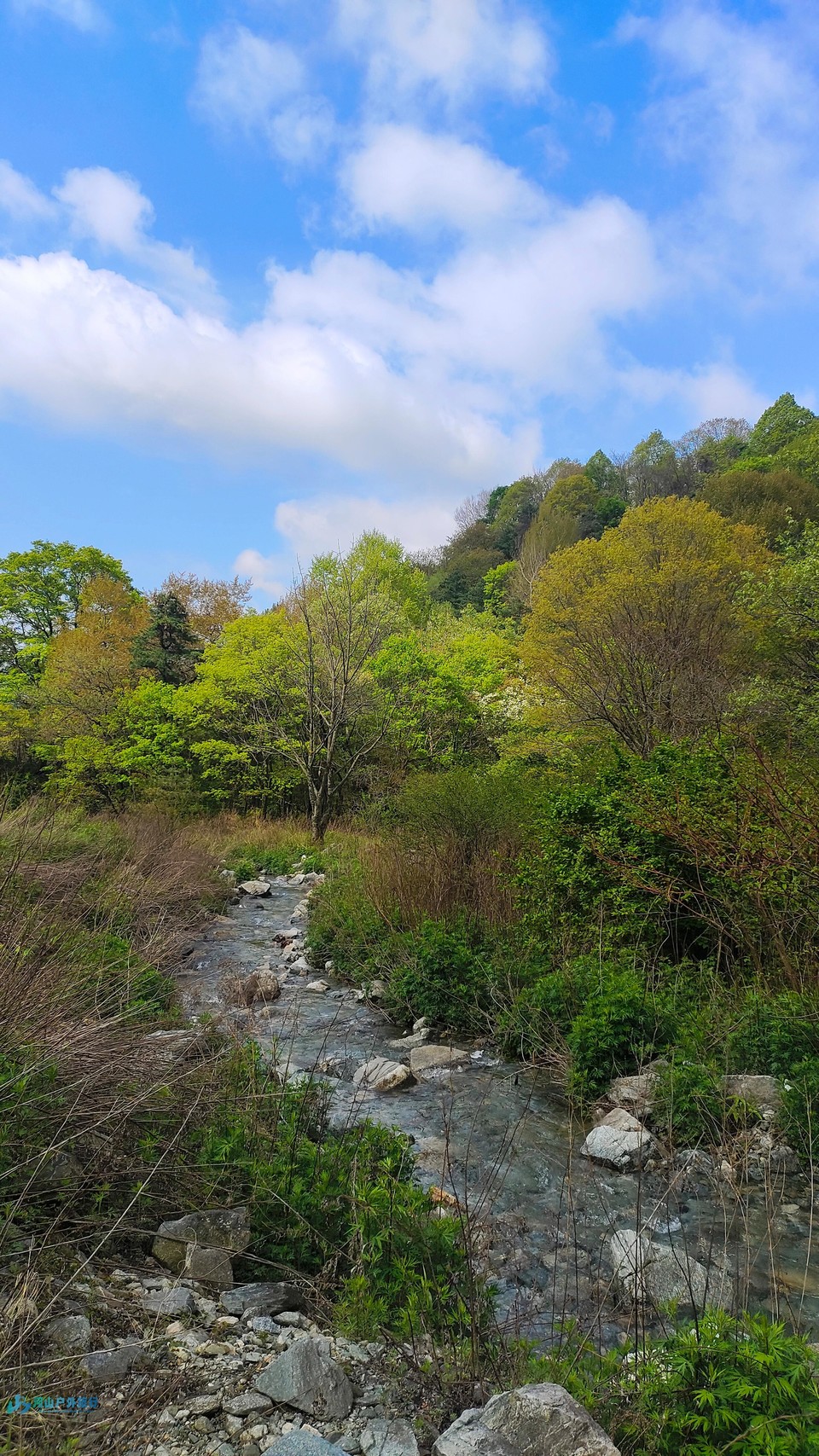 mmexport1714925742250