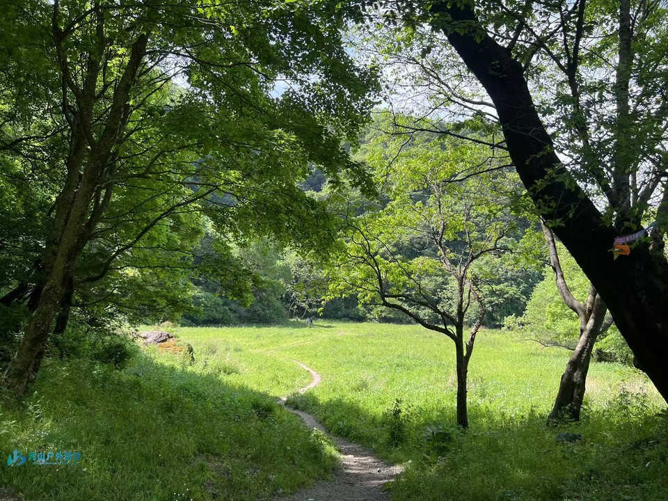 mmexport1717432522057