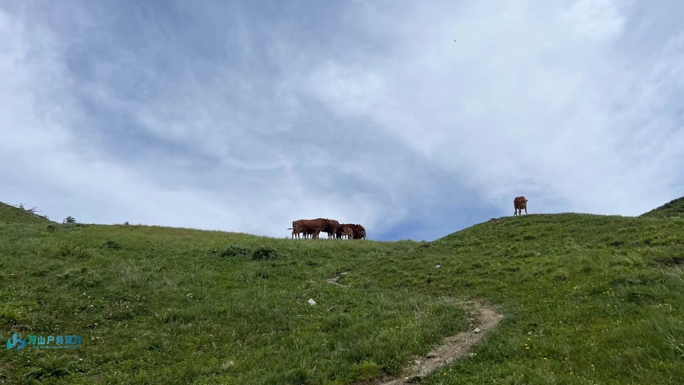 mmexport1717432534083