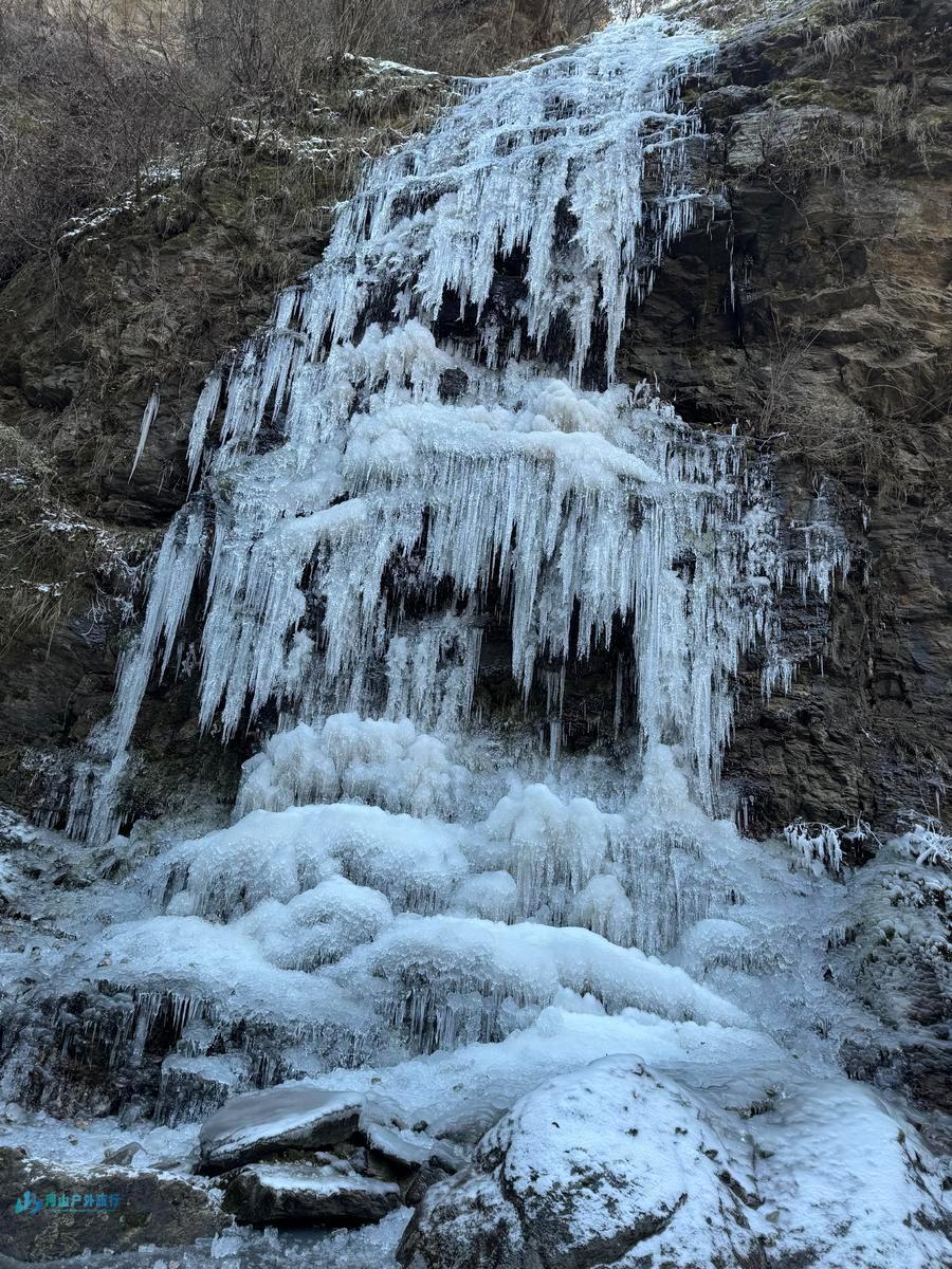 微信图片_20241218155605