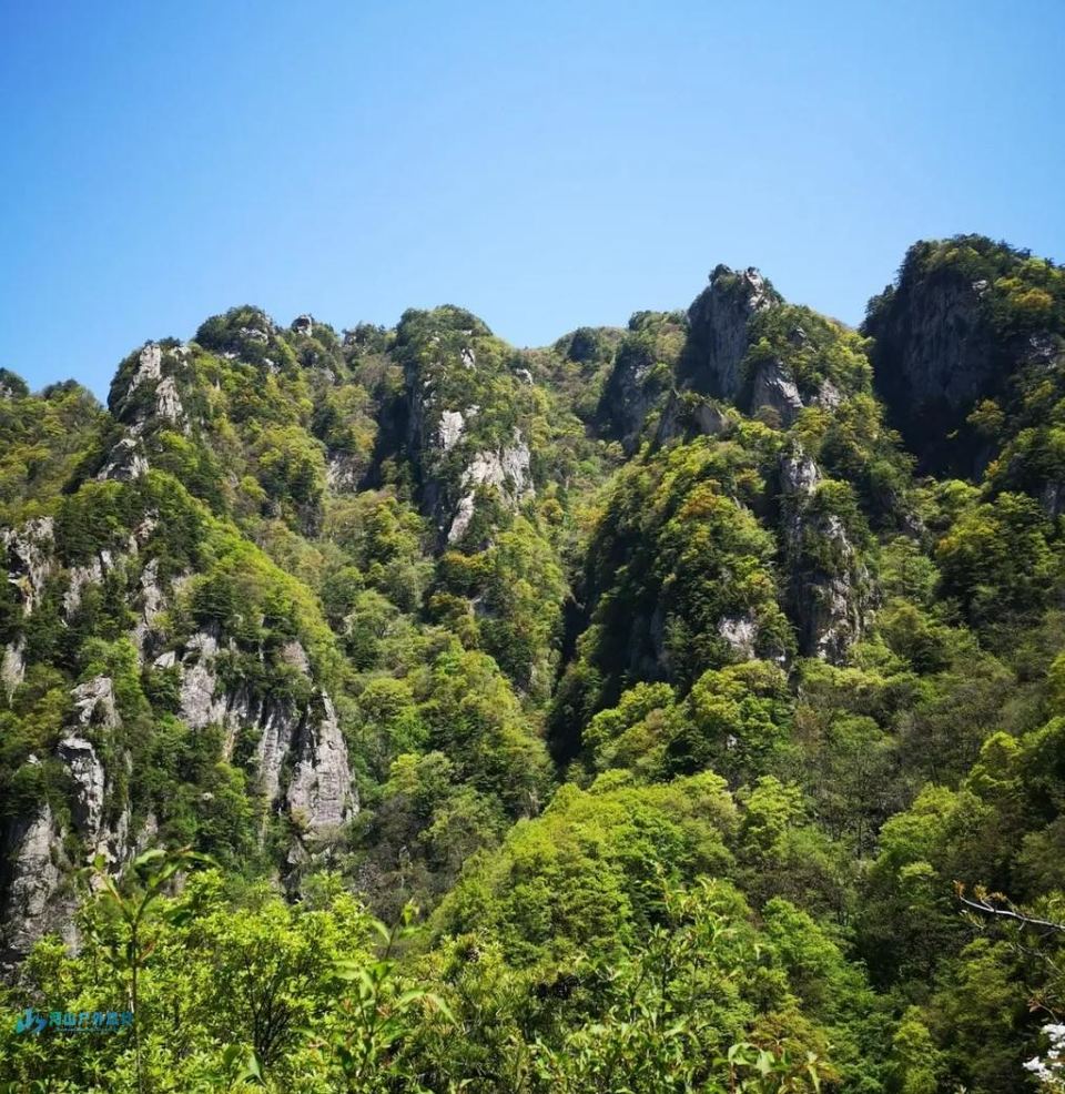 微信截图_20241219113031