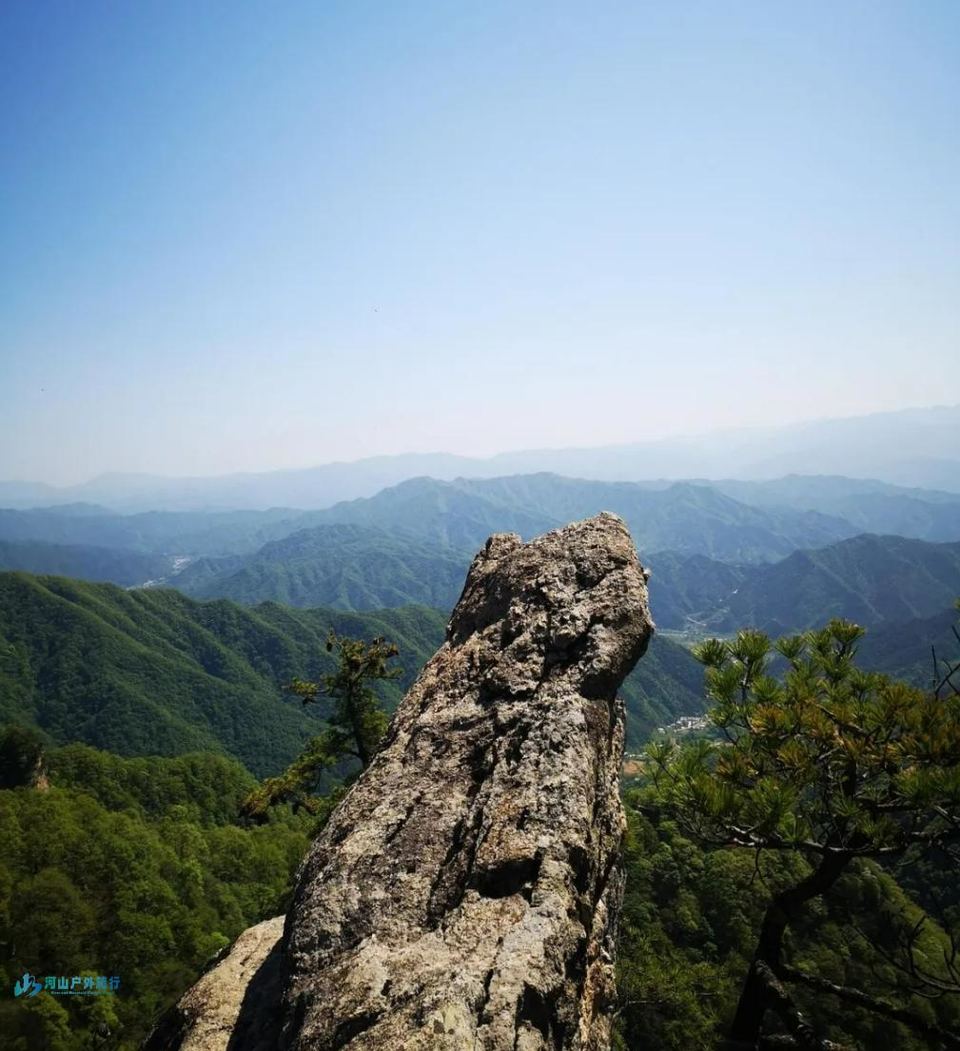 微信截图_20241219113048