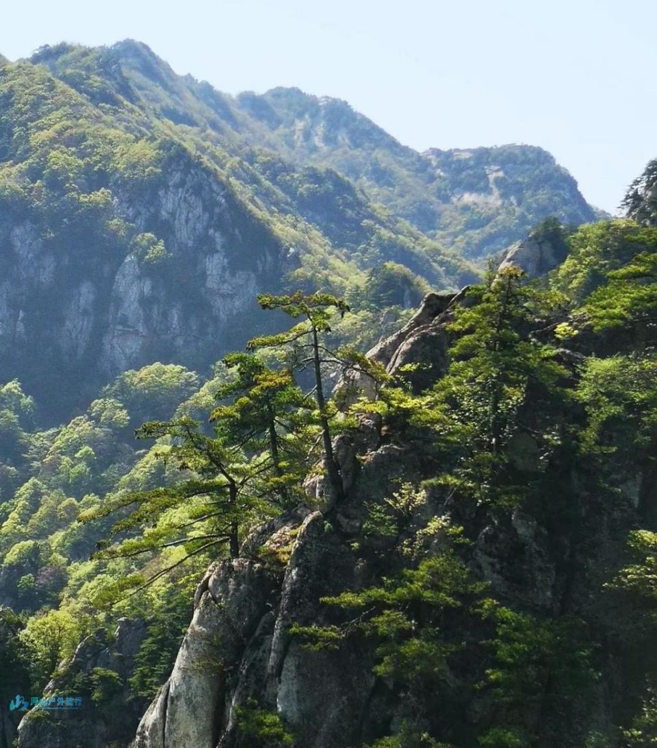 微信截图_20241219113104