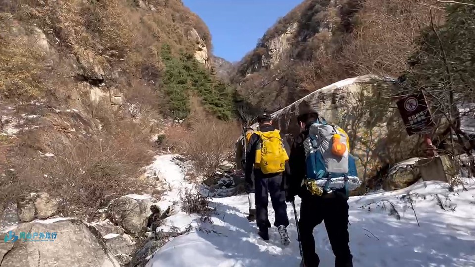 微信截图_20241221135346