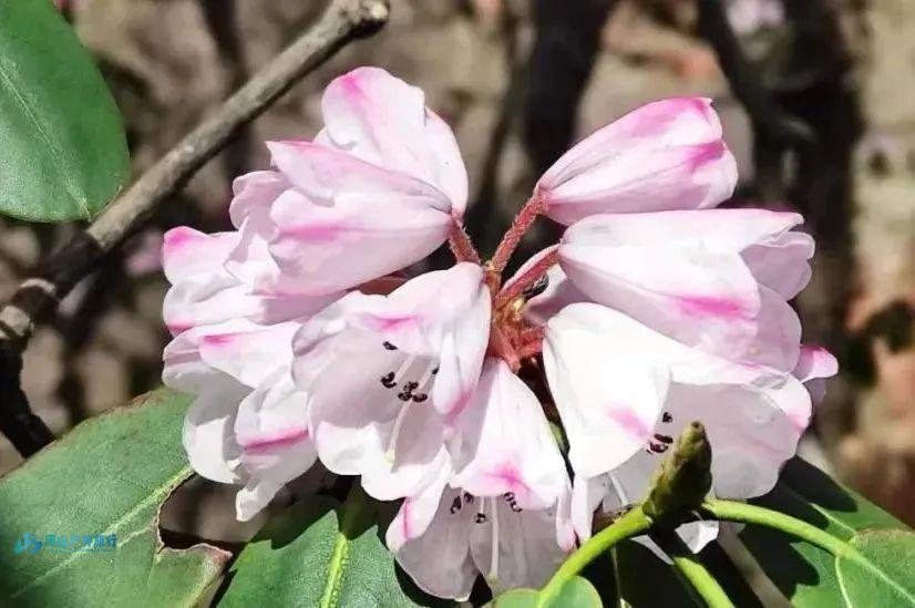 微信图片_20241221104703