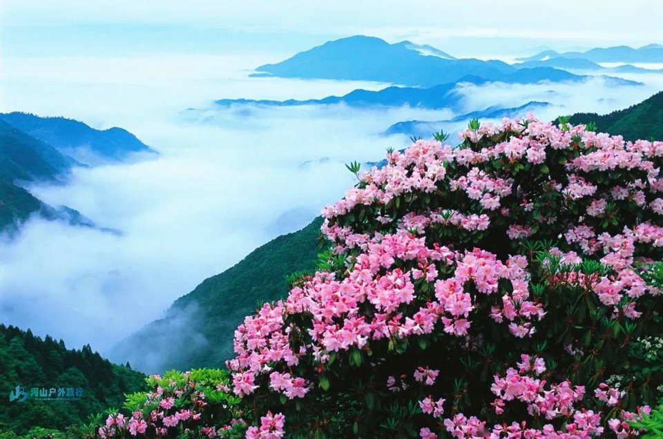 微信图片_20241221104420