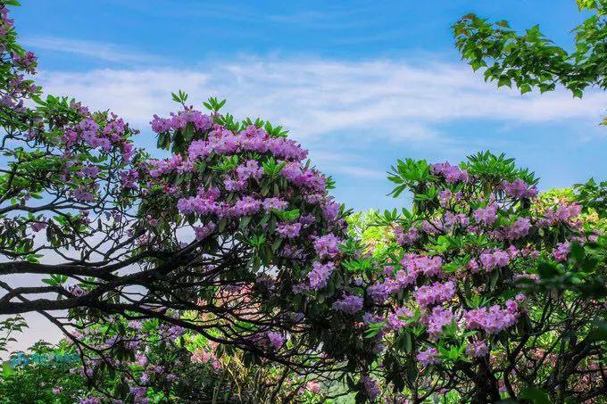 微信图片_20241221104744