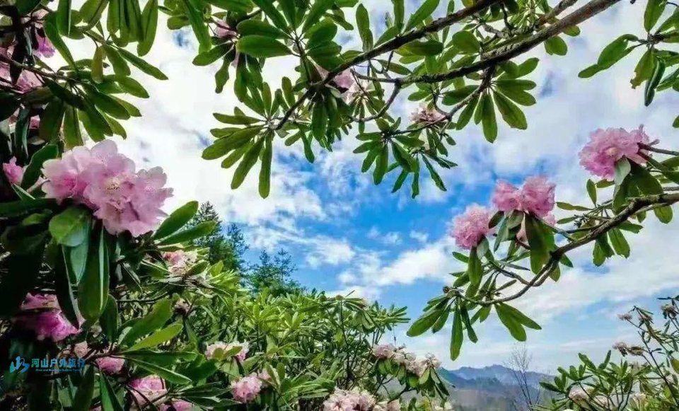 微信图片_20241221104848