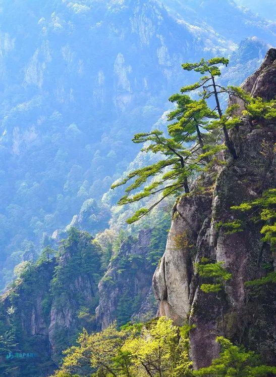 微信图片_20241221130149