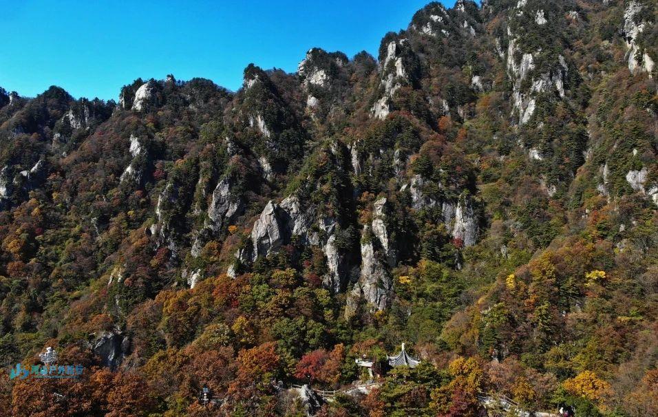 微信图片_20241221130347