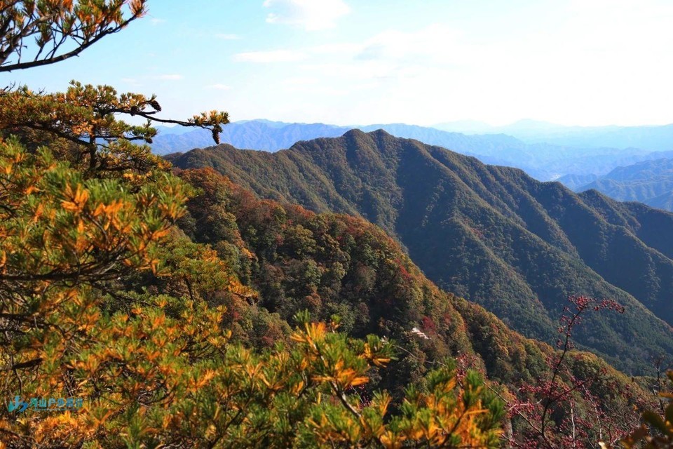 微信图片_20241221130408