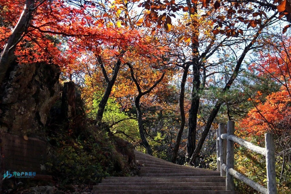 微信图片_20241221130415