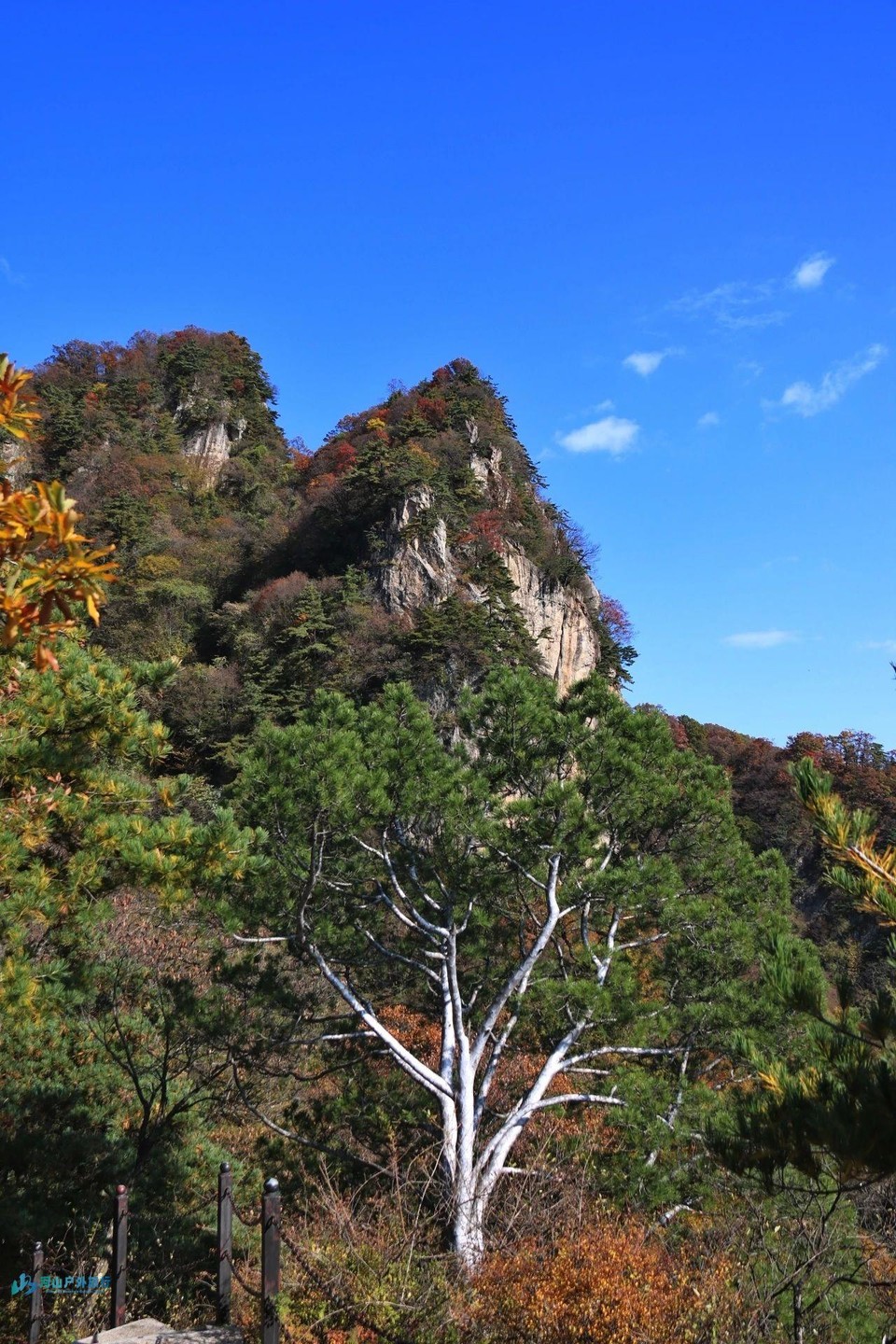 微信图片_20241221130437