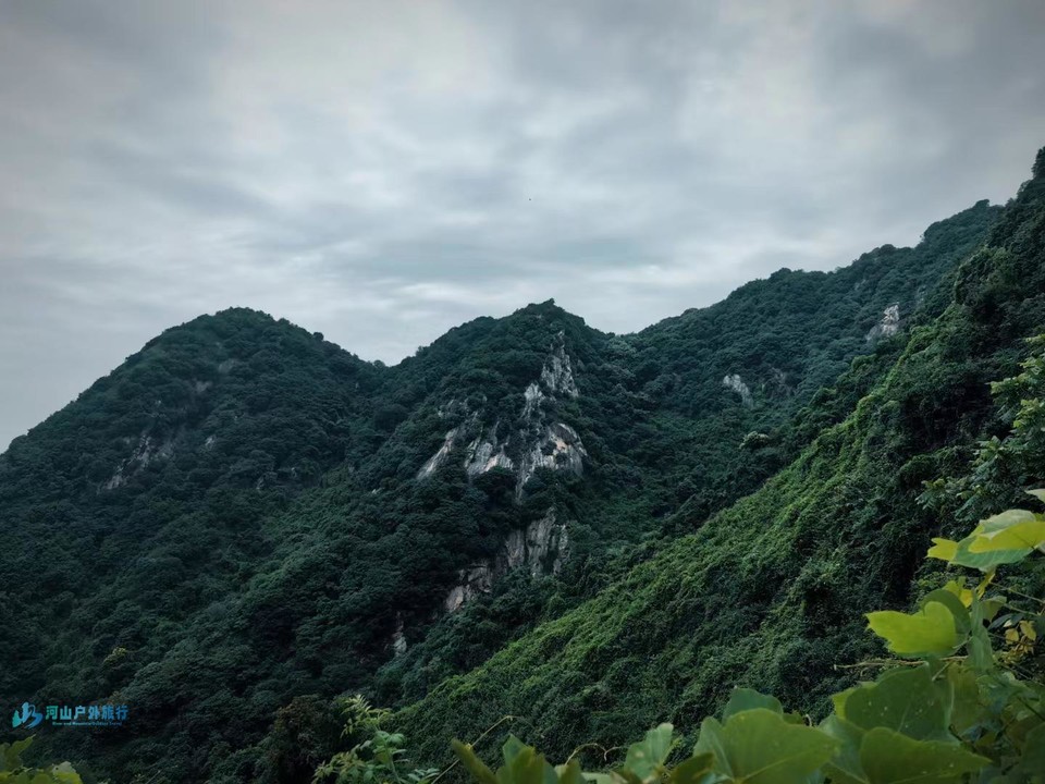 mmexport1717517333875