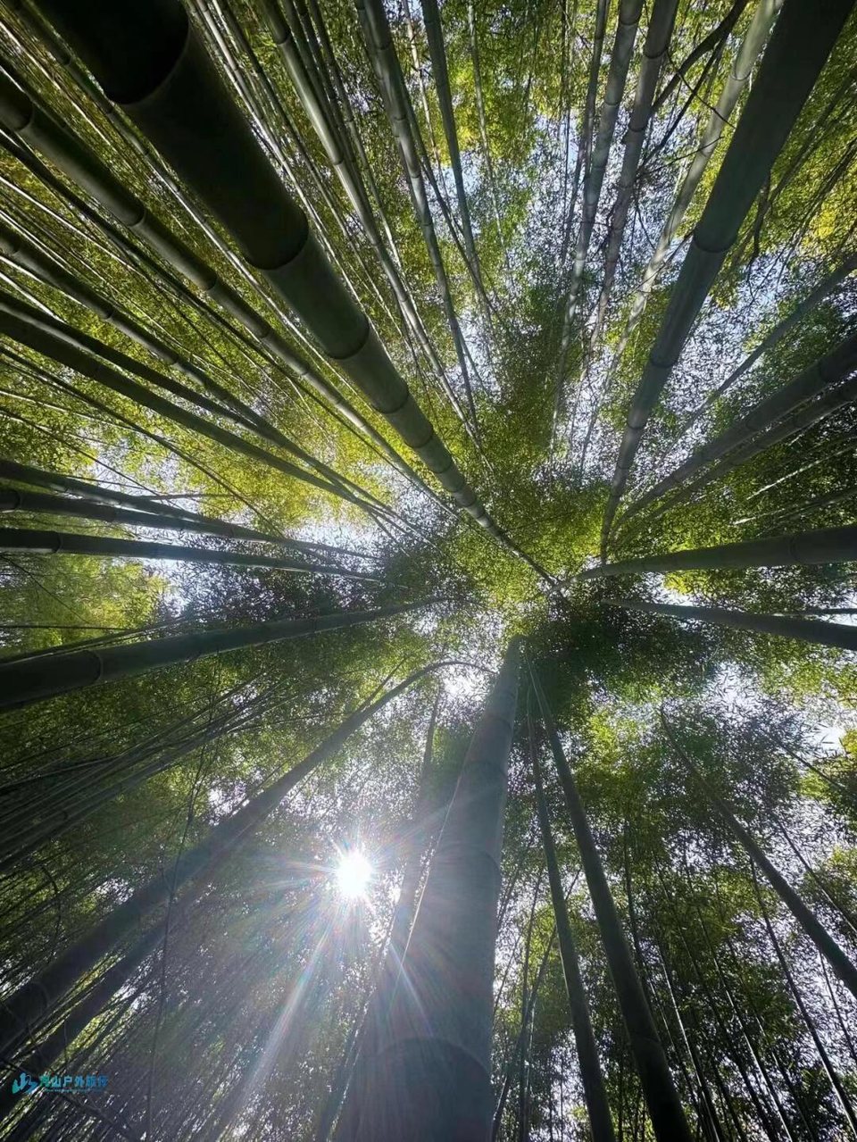 微信图片_20240504171531