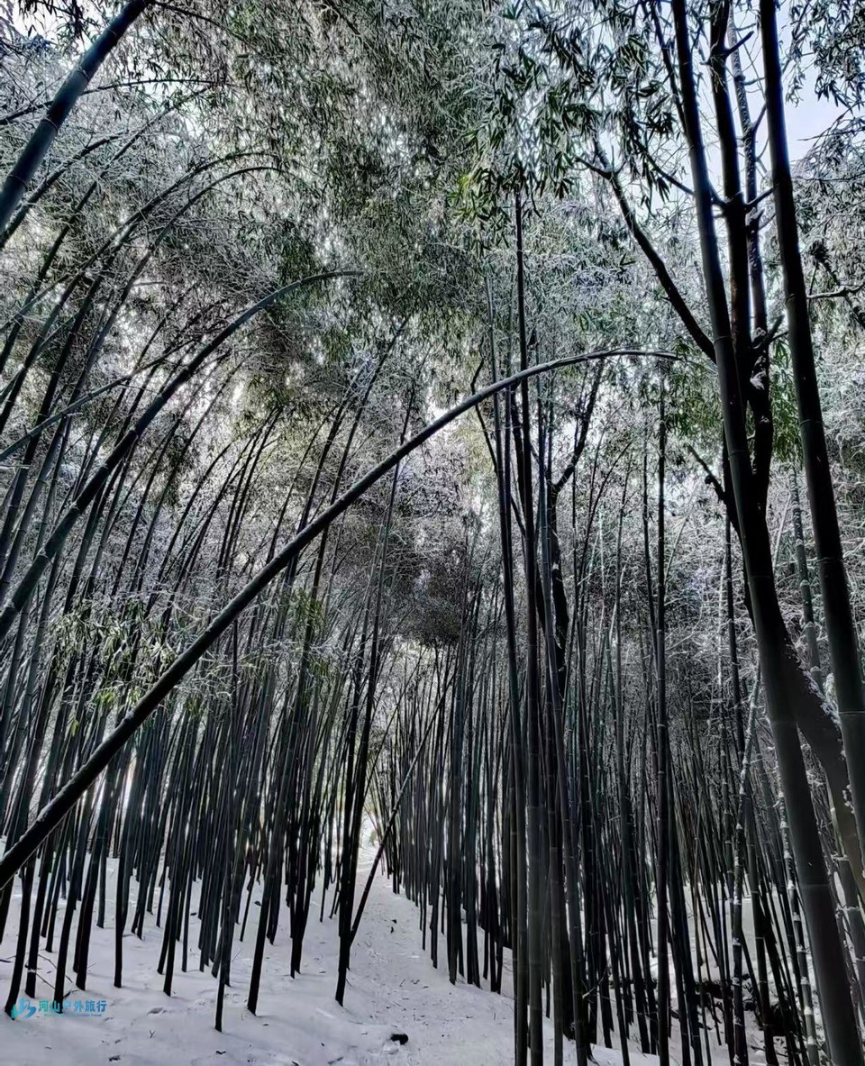 微信图片_20241229161007