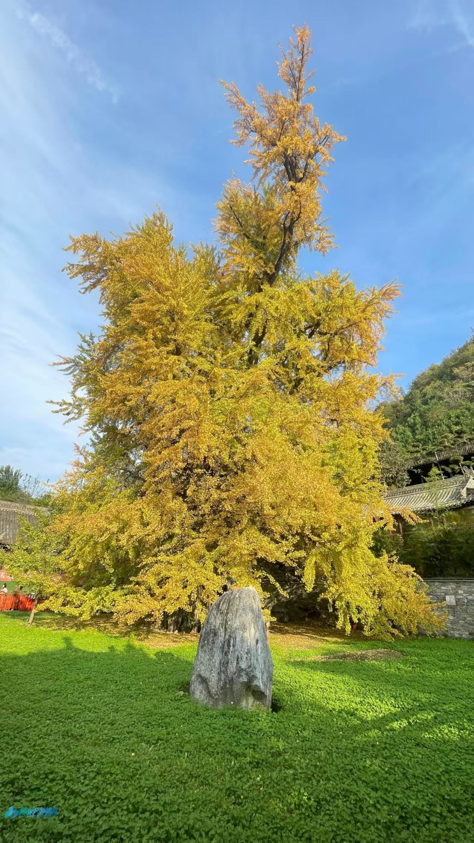 mmexport1730225090544