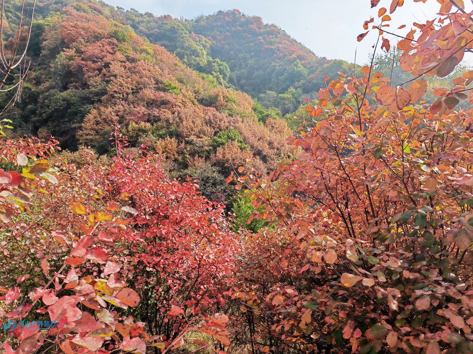 mmexport1730554346412