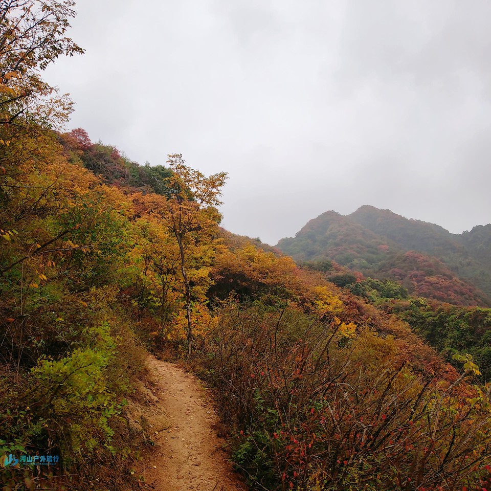 mmexport1730554382289