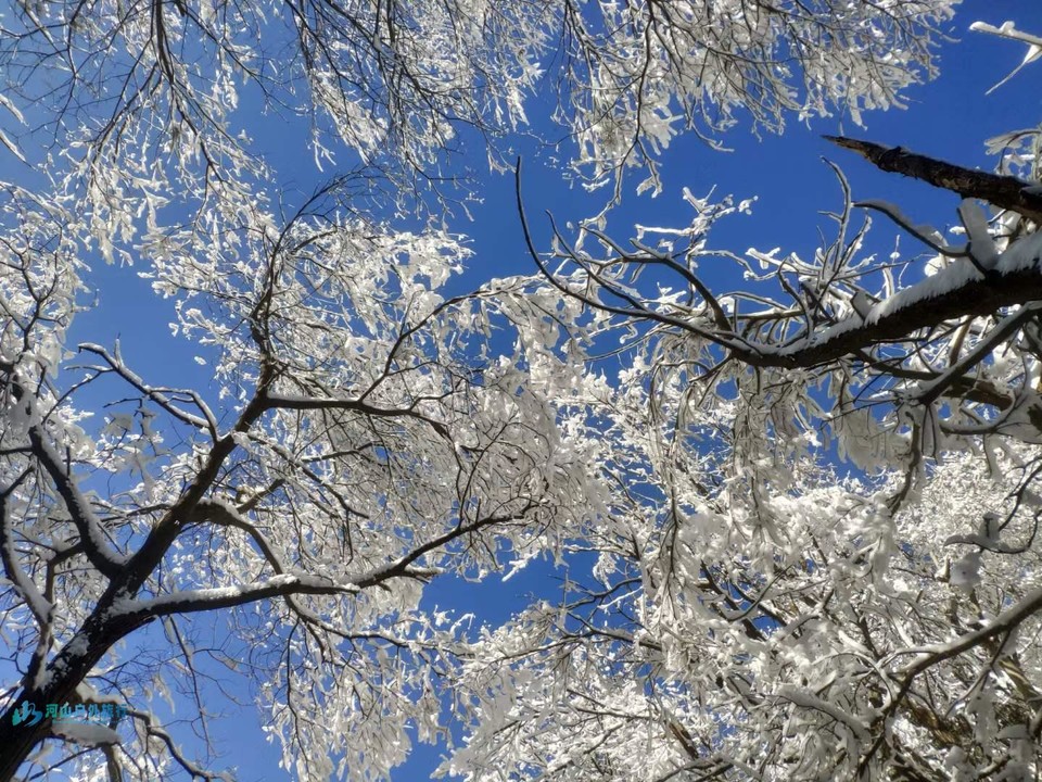 mmexport1709830253815