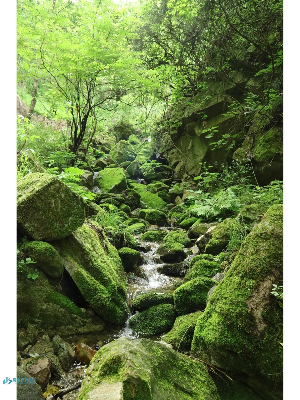 mmexport1711116506156