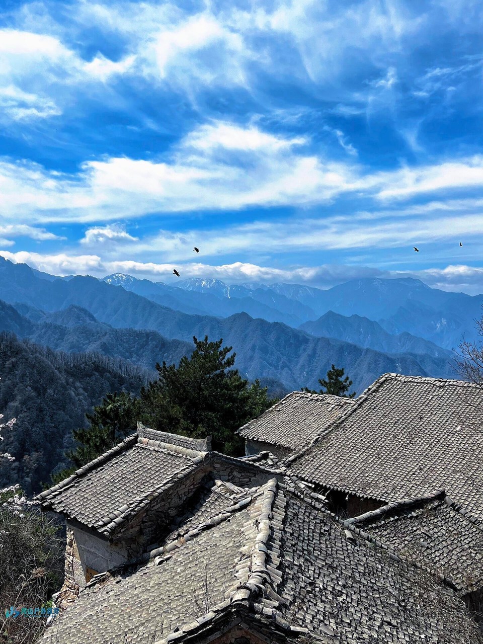 mmexport1711116524947