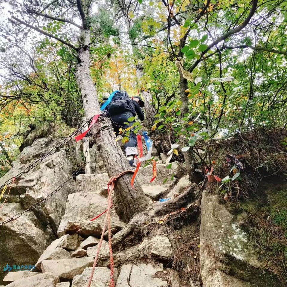 mmexport1728485902087