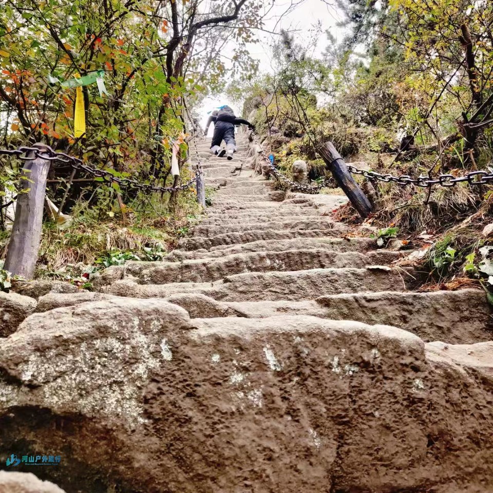 mmexport1728485909828